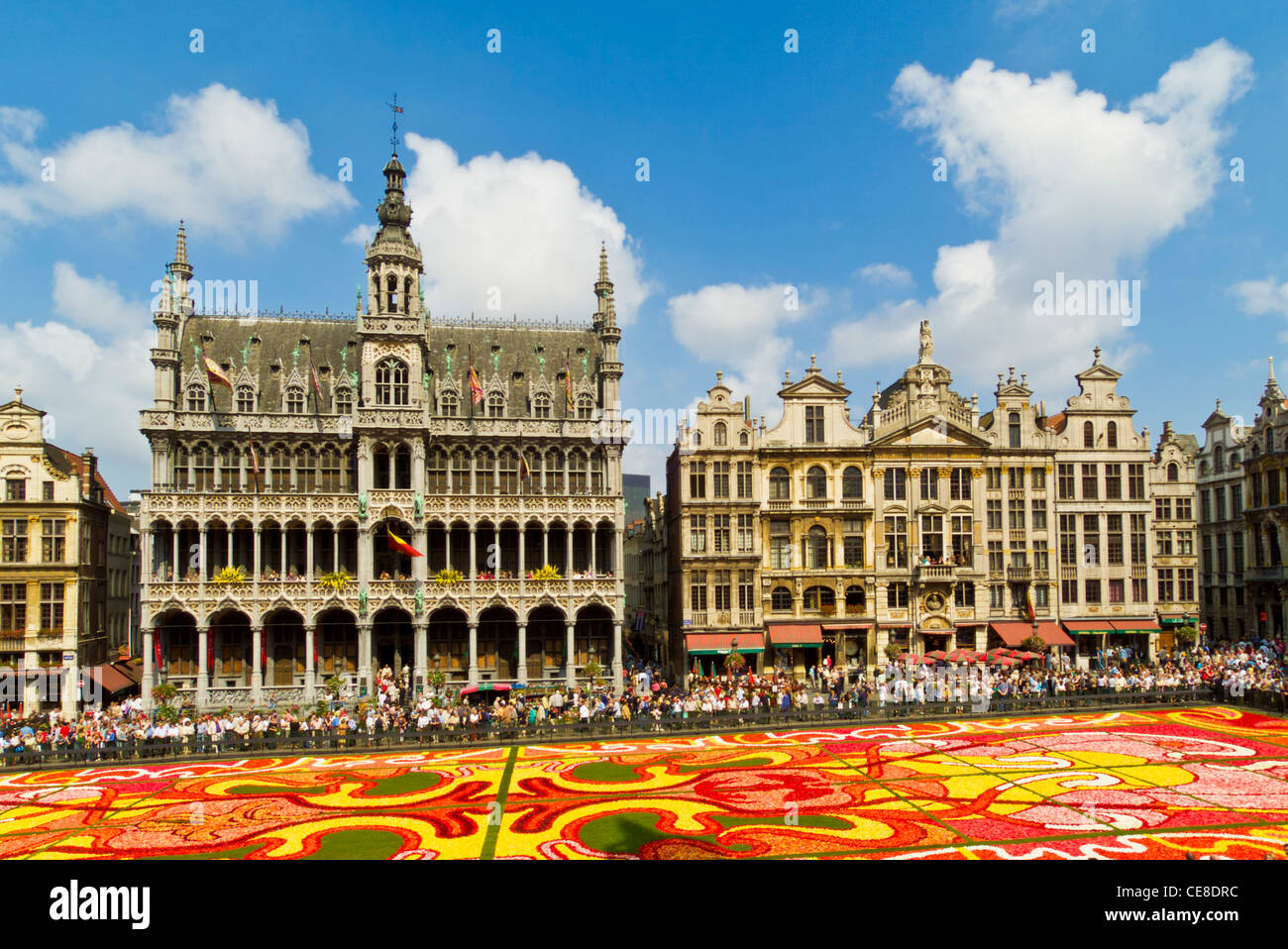 Bruxelles Grand place Bruxelles montrant le musée de la ville de Bruxelles et le tapis de fleur art déco thème Bruxelles Belgique UE Europe Banque D'Images