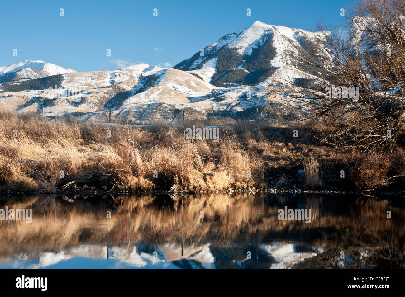 La réflexion d'hiver de l'Emigrant pic dans la vallée Paradise de Montana. Banque D'Images