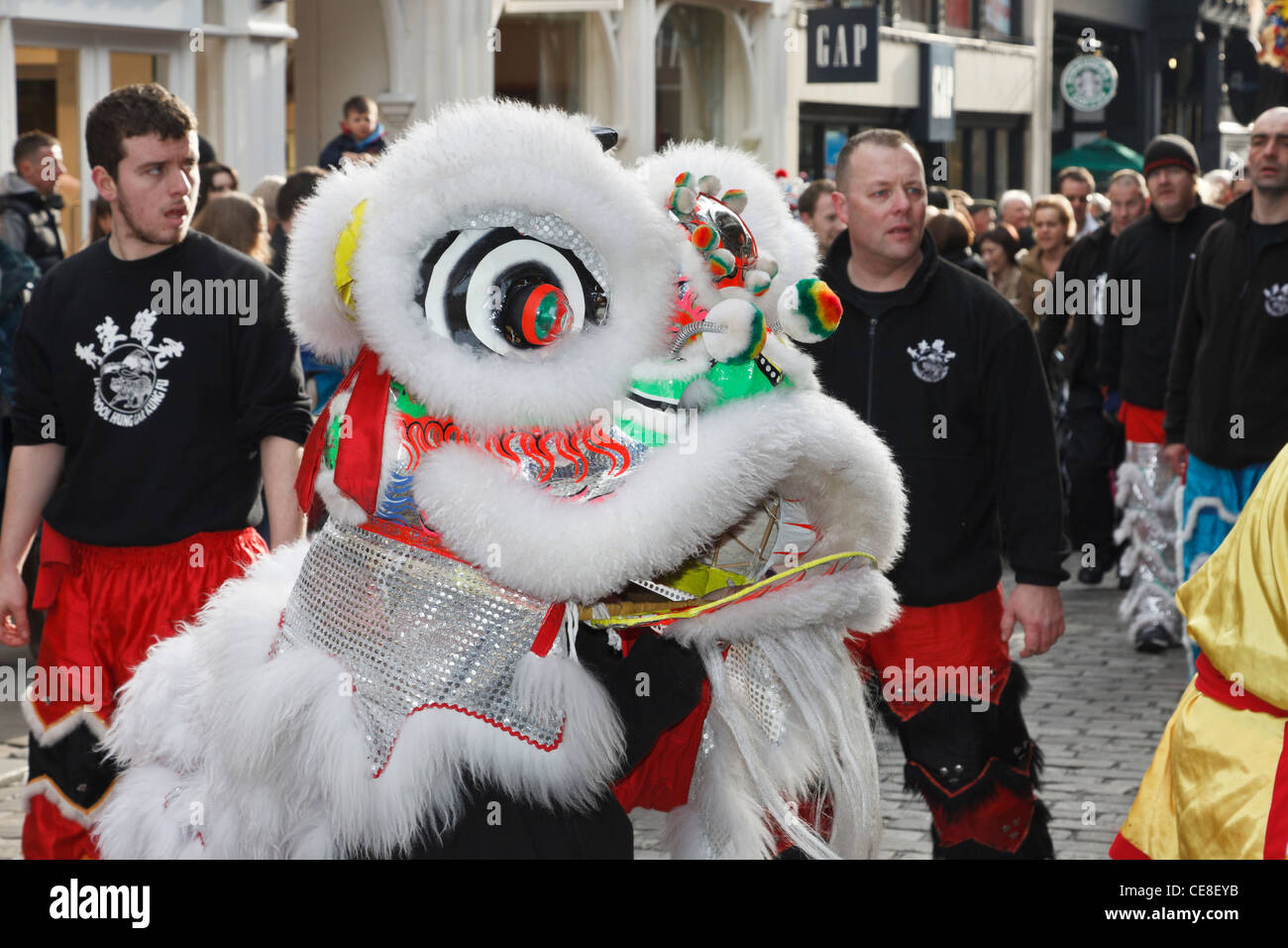 Le Nouvel An chinois du dragon parade dans la rue. Chester, Cheshire, Angleterre, Royaume-Uni. Banque D'Images