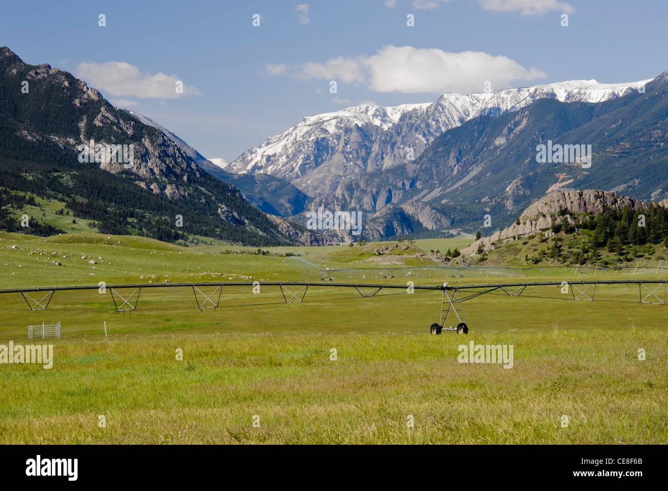 Montana ranch avec les Beartooth Mountains en arrière-plan. Banque D'Images