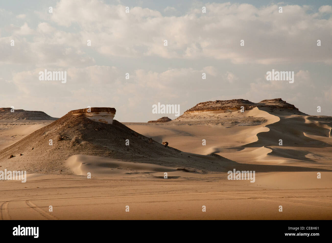 Les dunes de la Grande Mer de Sable, le désert occidental, l'Égypte Banque D'Images