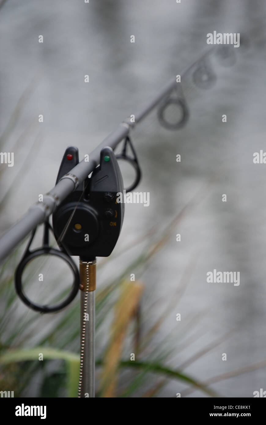 Canne à pêche carpe roseaux du lac d'alarme Banque D'Images