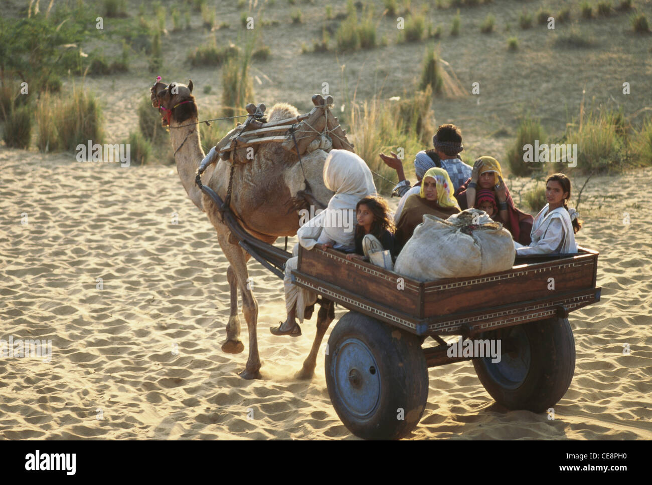 Smr 80317 : famille indienne sur camel panier à Pushkar Fair le Rajasthan en Inde Banque D'Images
