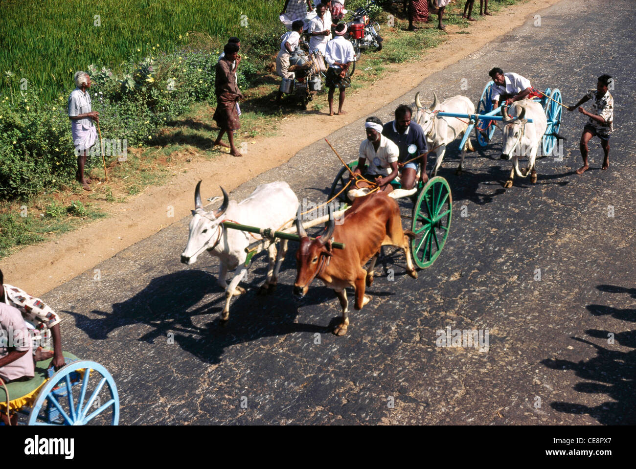 80458 MAA : Charrette Race , Tamil Nadu , Inde Banque D'Images