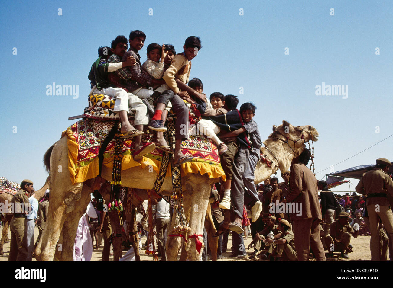 SSK 80410 : Pushkar concours équitable onze indiens sur un chameau Rajasthan Inde Banque D'Images