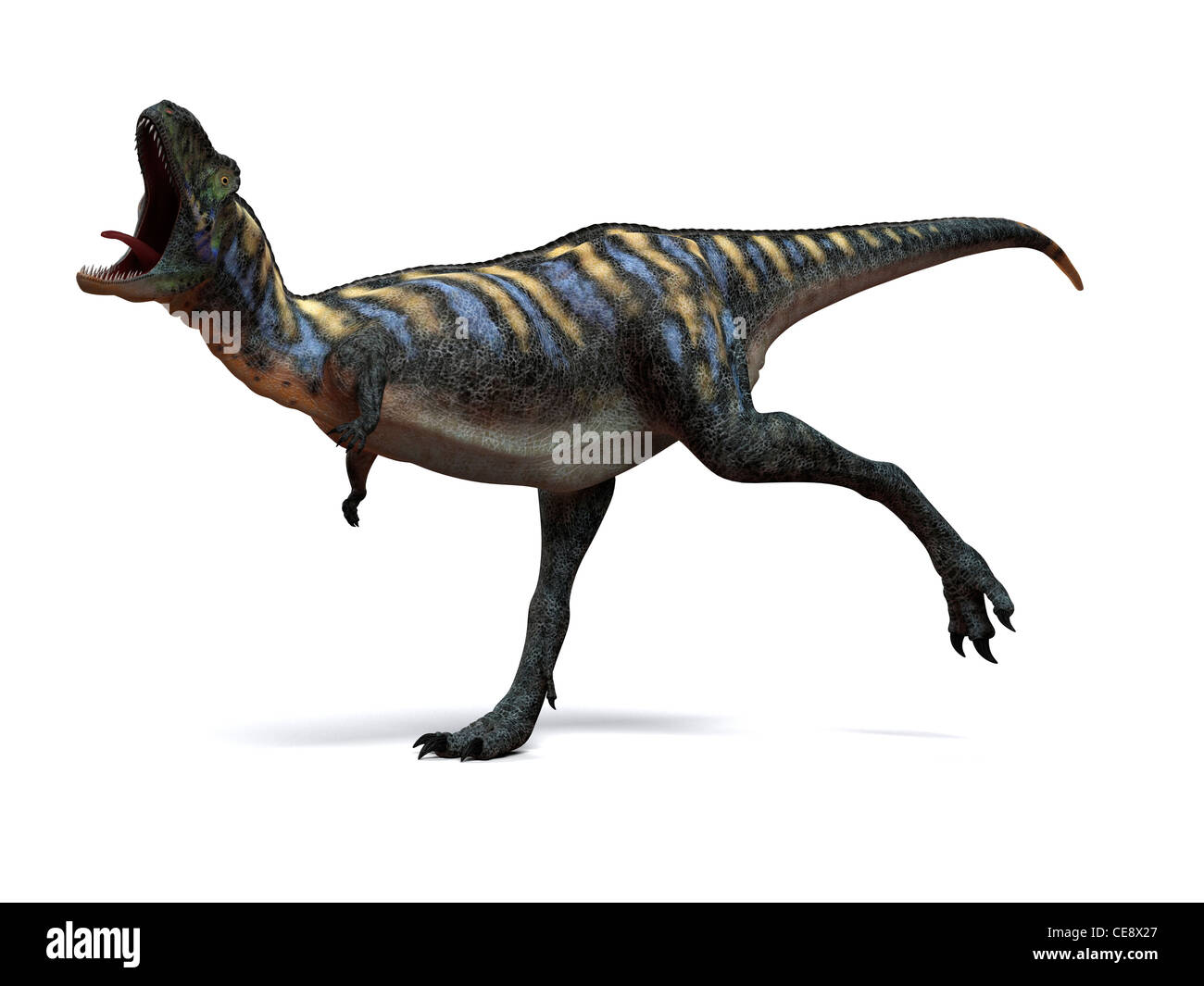 Aucasaurus Aucasaurus art ordinateur dinosaure dinosaure taille moyenne argentine existaient au Crétacé supérieur autour de 100 à 65 Banque D'Images