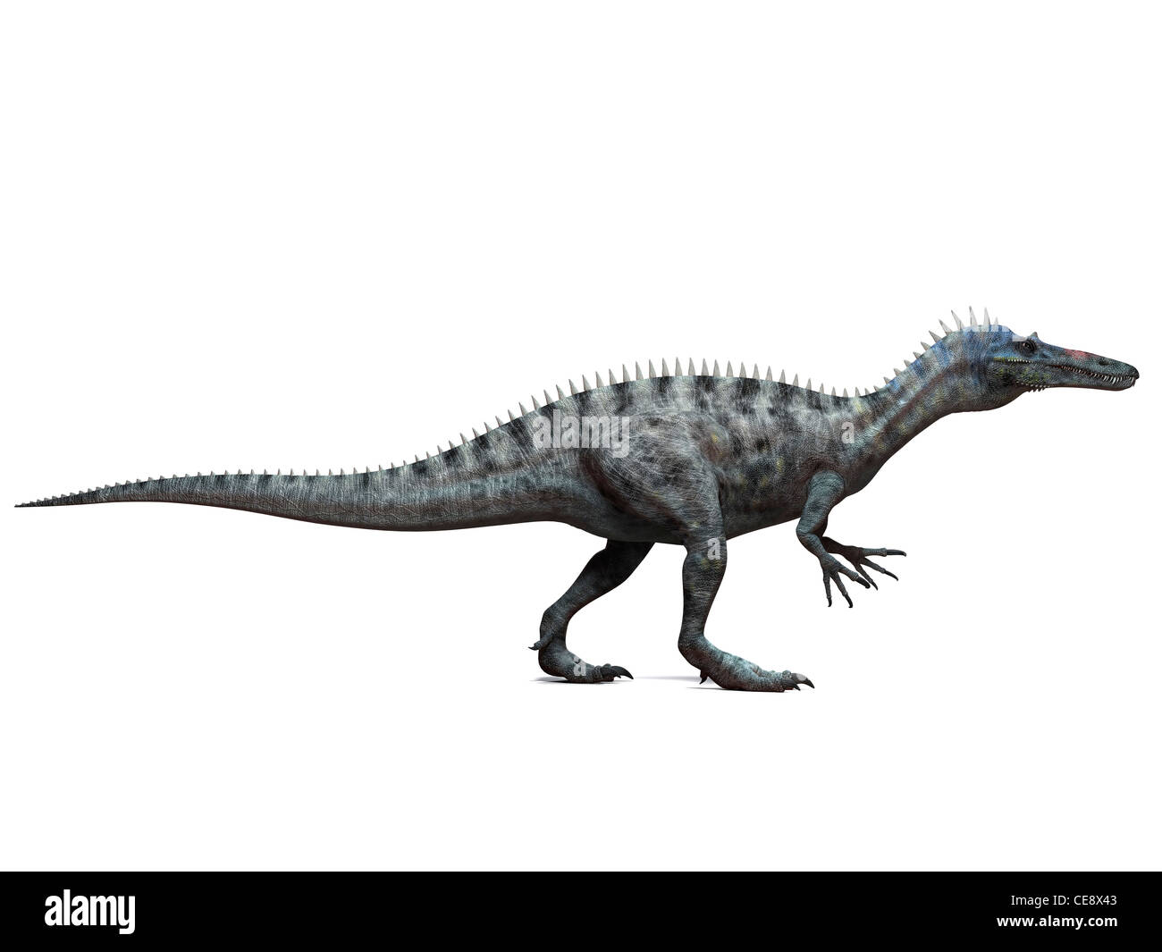 Dinosaure dinosaure Suchomimus ordinateur artwork a vécu de 110 à 120 millions d'années, pendant le Crétacé moyen. Banque D'Images