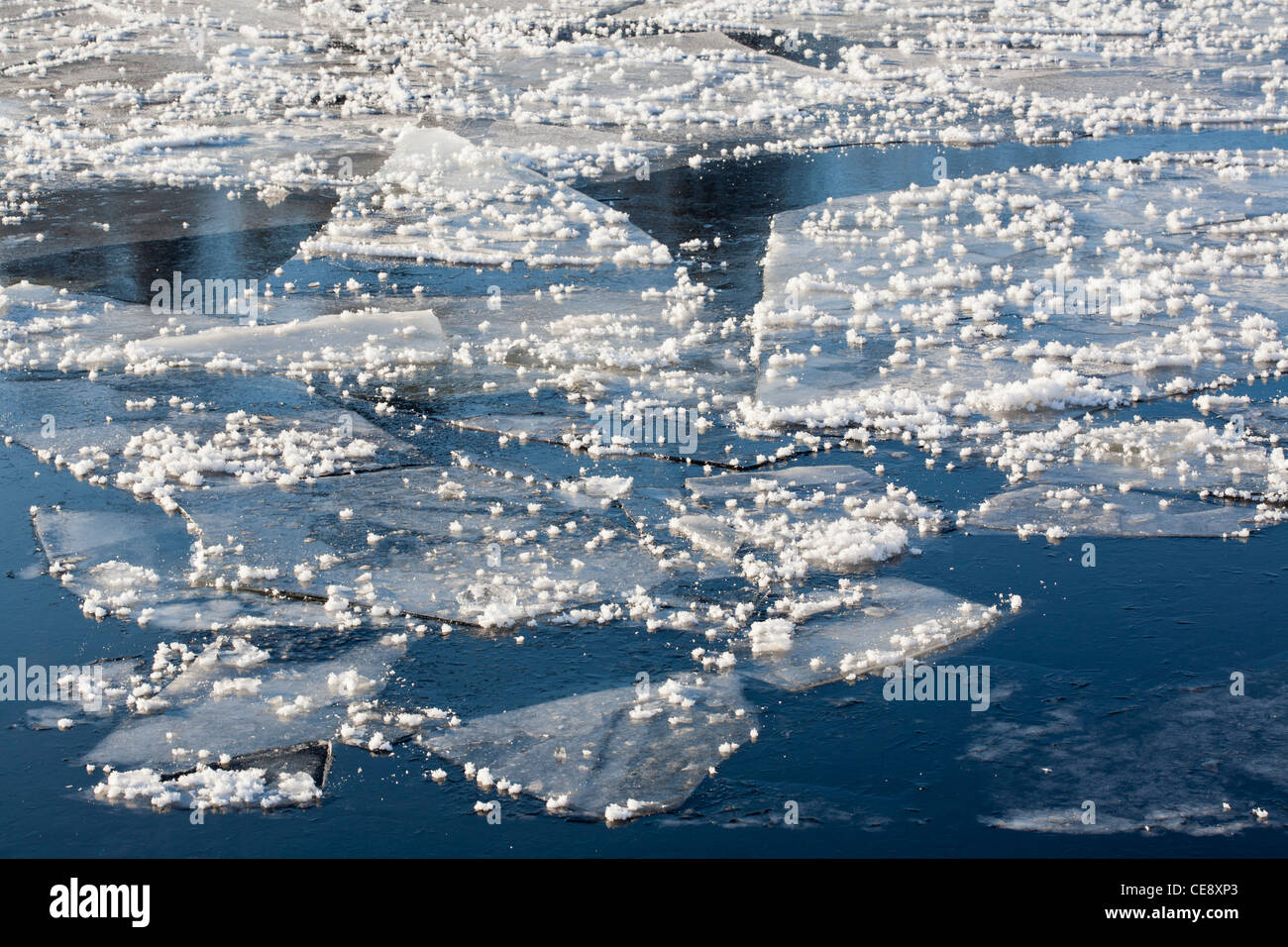 Givre sur glace, Finlande Banque D'Images