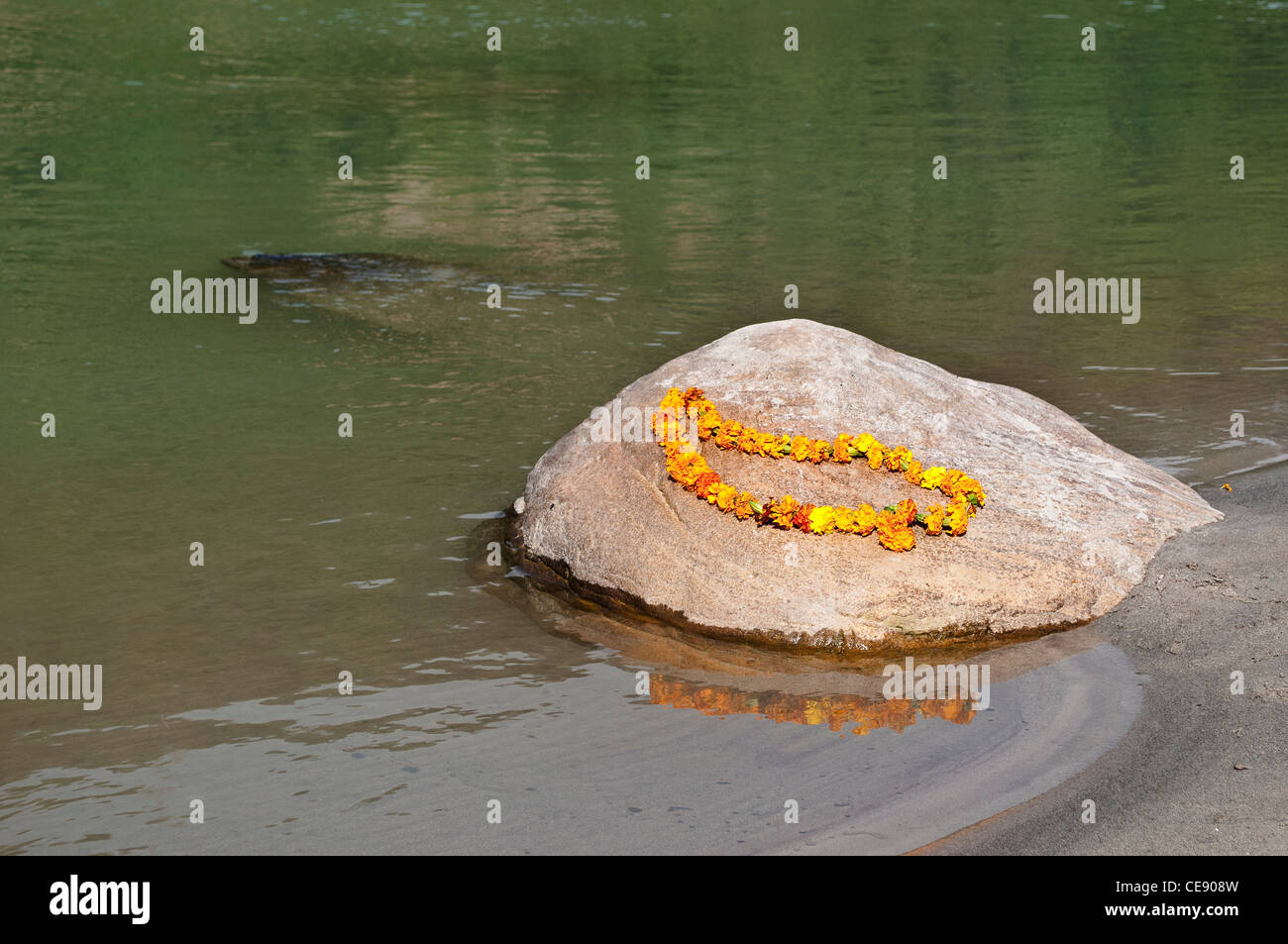 Guirlande de fleurs de souci sur une pierre dans le Gange, Rishikesh, Uttarakhand, Inde Banque D'Images