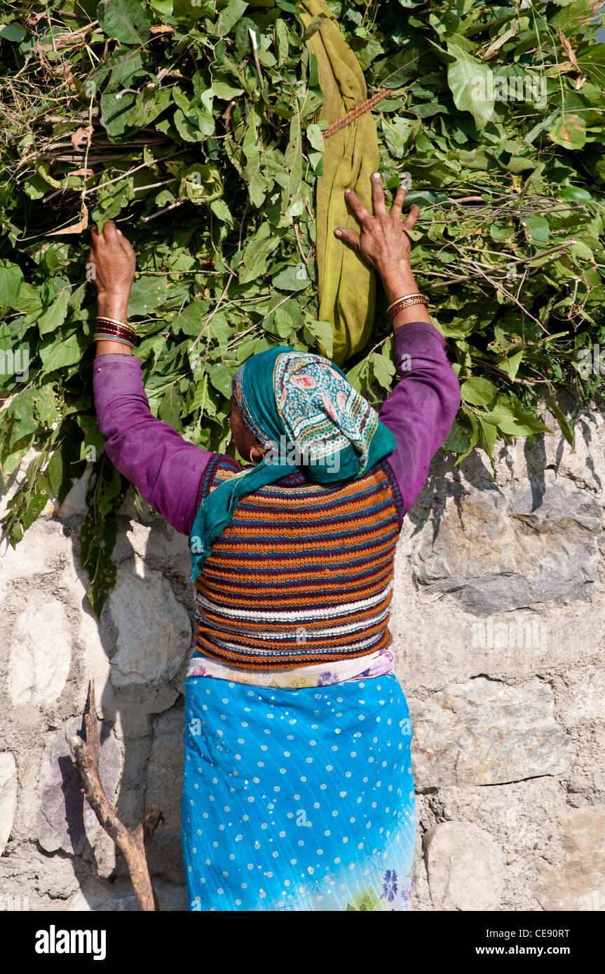 Femme sur le point d'effectuer un énorme paquet de branches, Rishikesh, Uttarakhand, Inde Banque D'Images