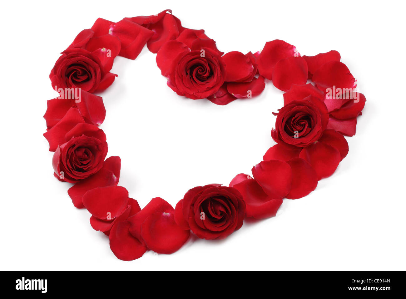 Coeur de pétales de rose rouge isolated on white Banque D'Images