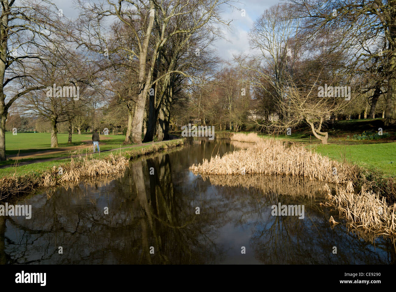 Canal d'alimentation, Bute Park, Cardiff, Pays de Galles du Sud. Banque D'Images
