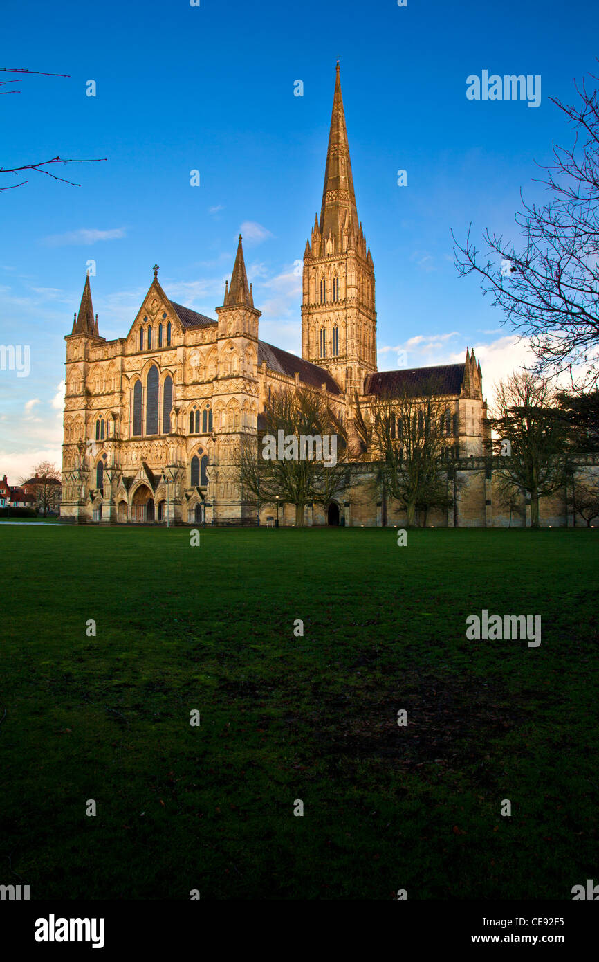 Soirée d'or lumière tombe sur la façade ouest et flèche de la cathédrale de Salisbury, Wiltshire, Angleterre, Royaume-Uni Banque D'Images