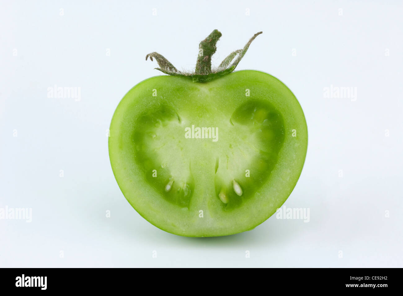 La tomate (Lycopersicon esculentum), coupées en deux les fruits verts. Studio photo sur un fond blanc. Banque D'Images