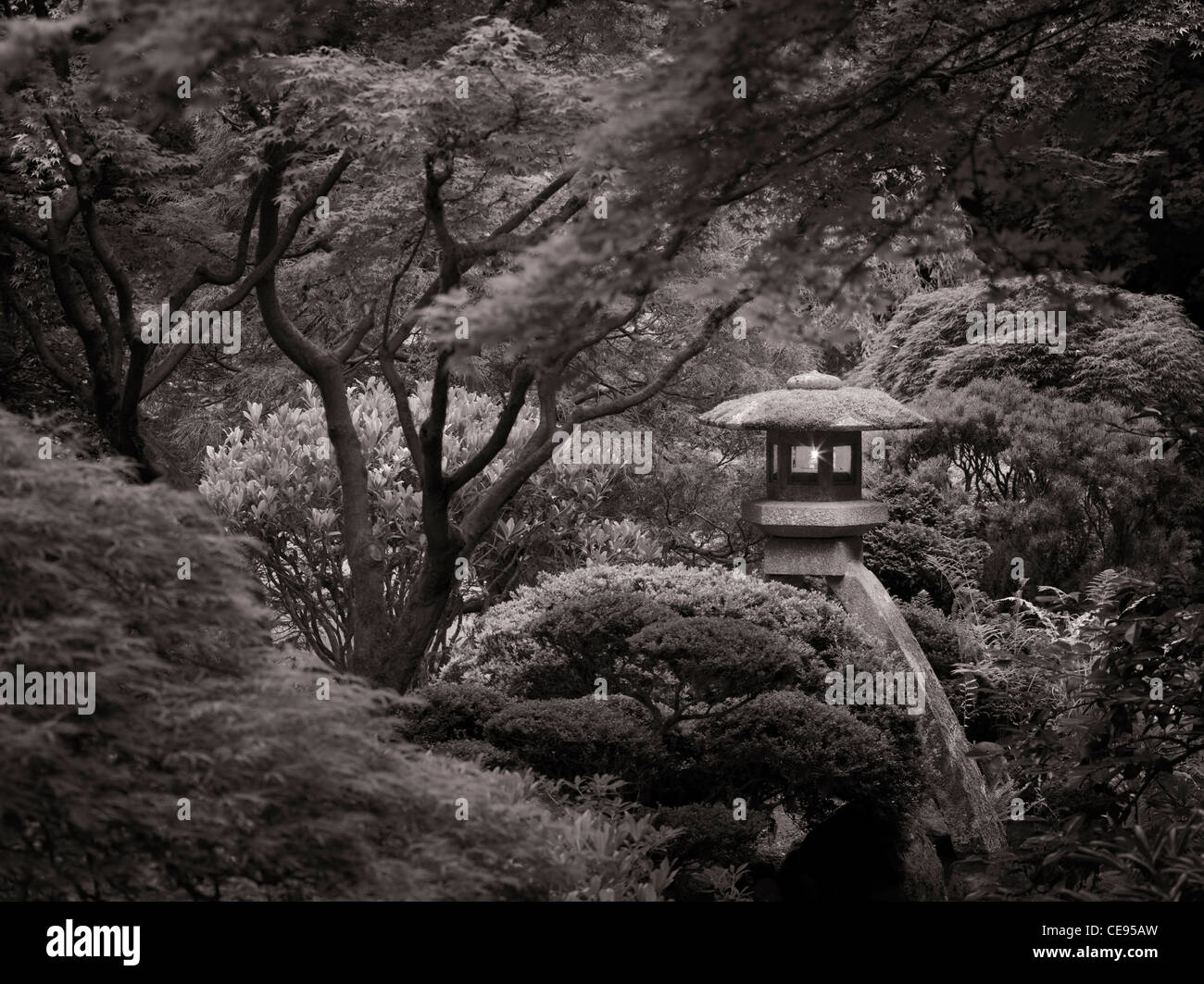 Lanternes allumées à Portland les jardins japonais. Oregon Banque D'Images