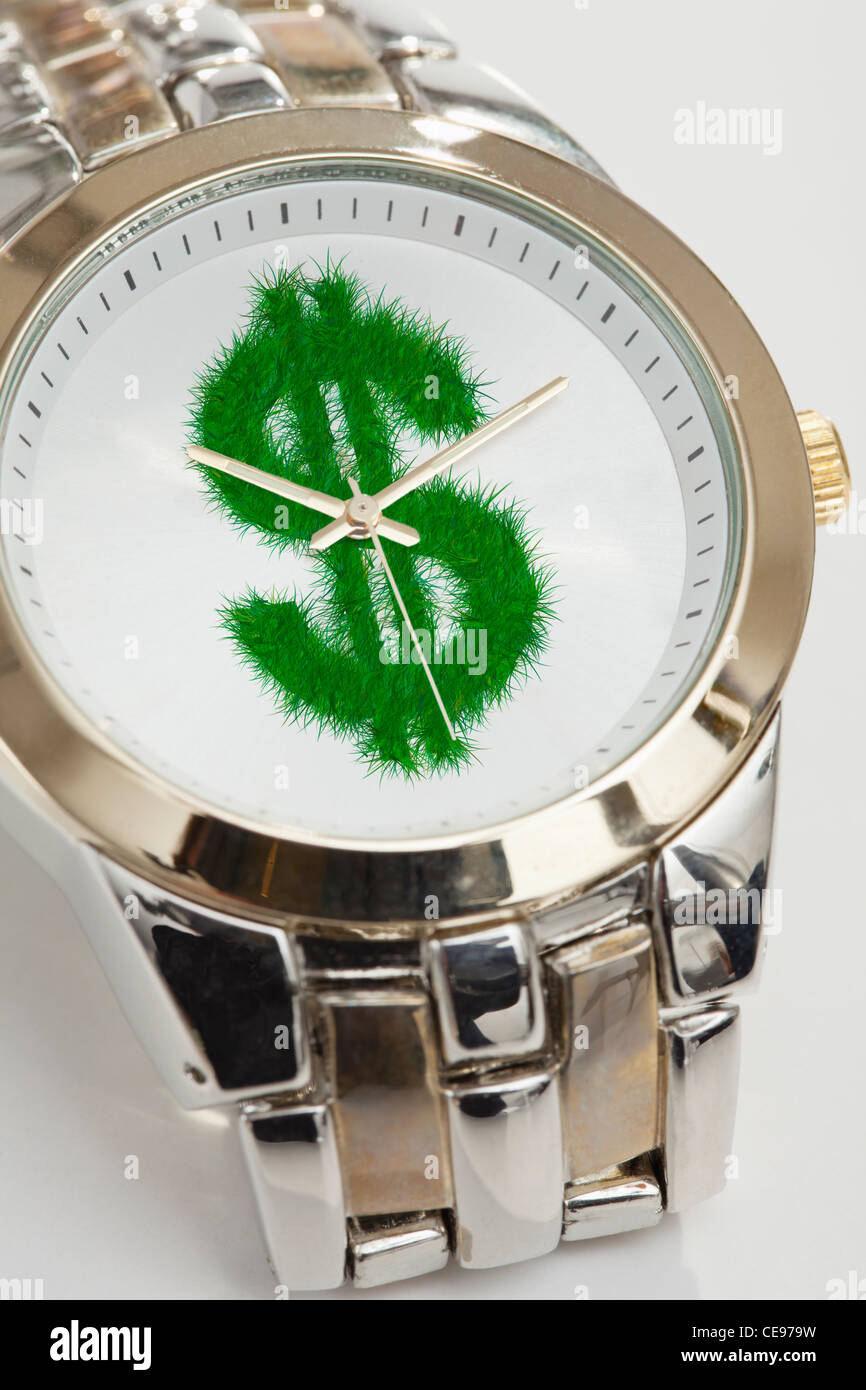 Portrait d'une montre-bracelet avec herbacé signe dollar Banque D'Images