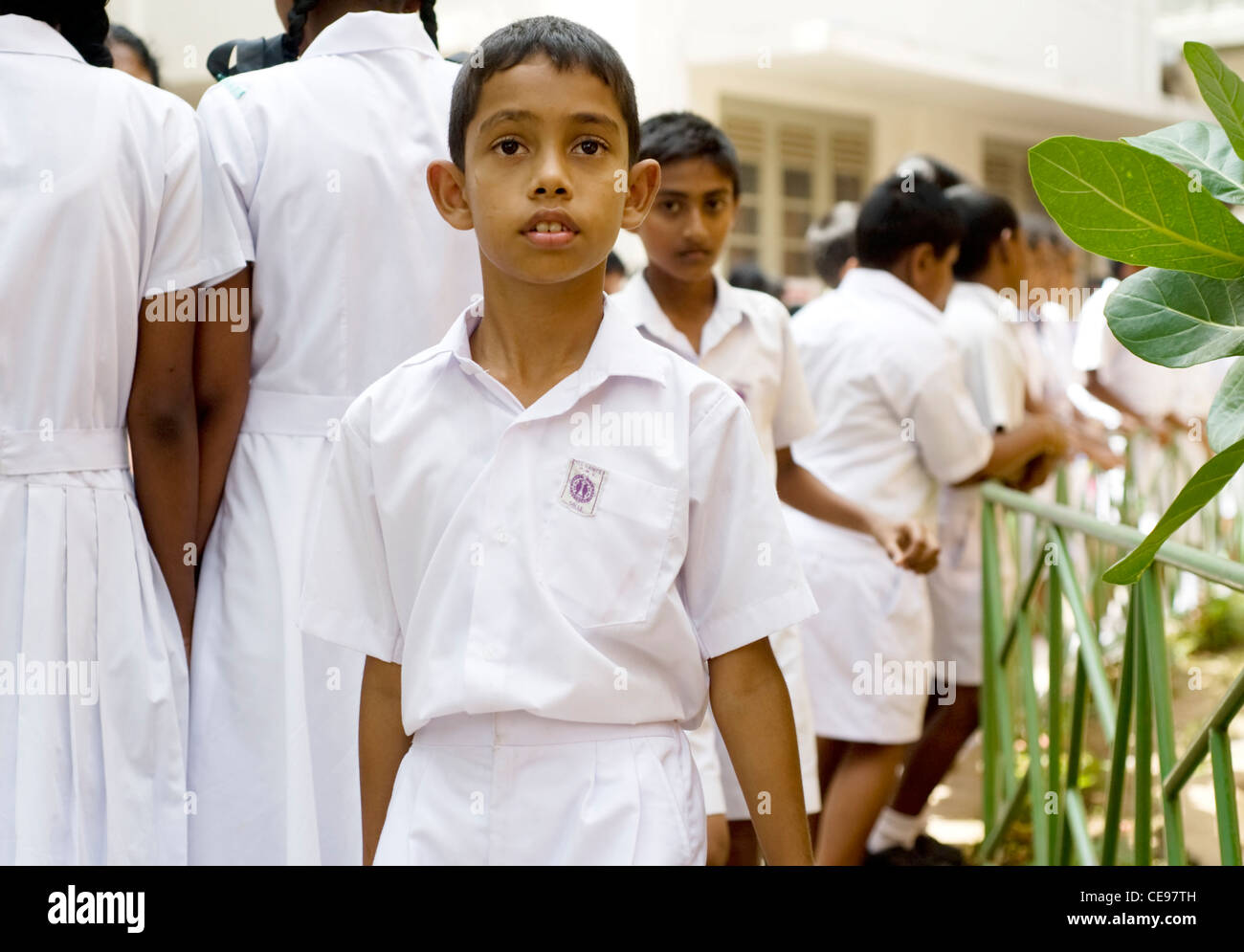 Portrair d'un élève du Sri Lanka pendant 5 Festival scolaire annuel le 26 janvier 2011 à Galle, Sri Lanka Banque D'Images