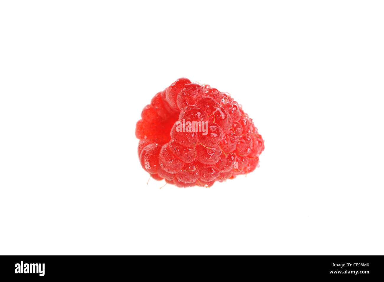 Framboises sur fond blanc Banque D'Images