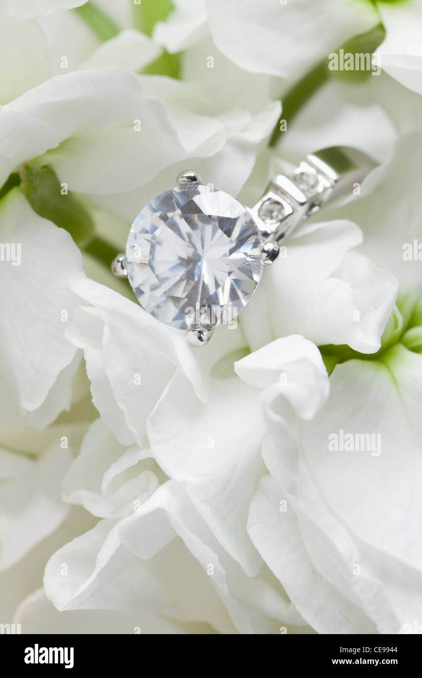 Close-up de bague en diamant à fleurs blanches Banque D'Images