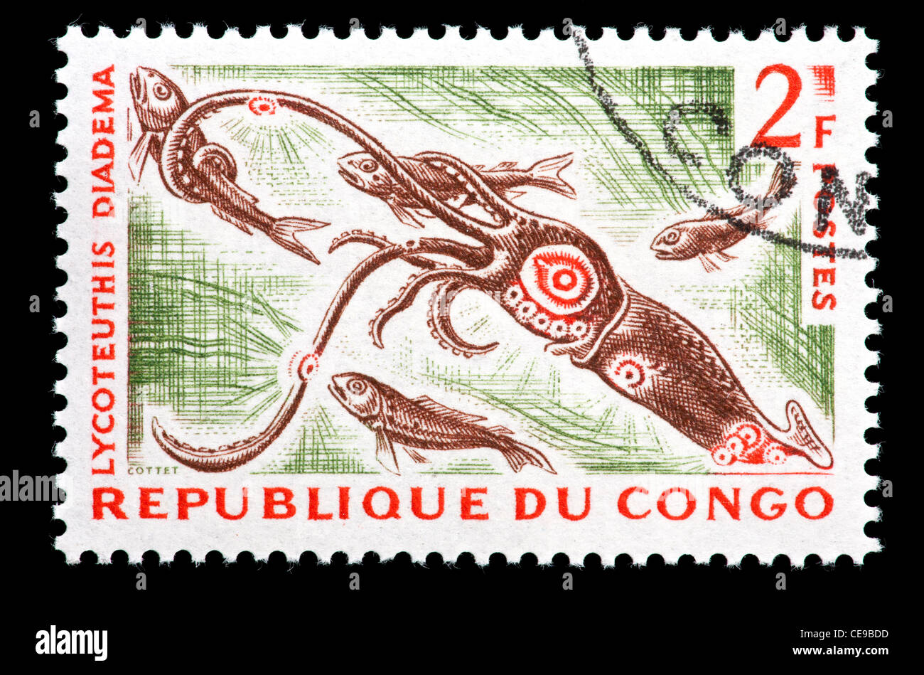 Timbre-poste de Congo représentant un calmar géant (Lycoteuthis diadema) Banque D'Images