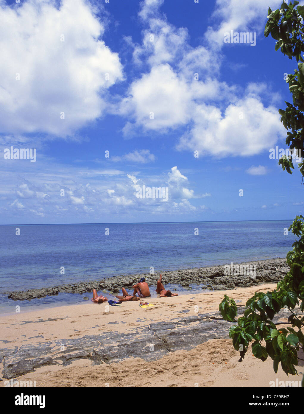 Coral Cay Reinfern Beach, Green Island, Great Barrier Reef Marine Park, Queensland, Australie Banque D'Images