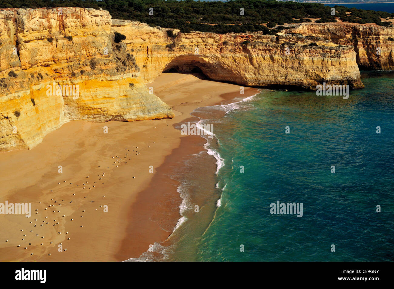 Le Portugal, l'Algarve : Vue d'un inaccessible plage près de Carvoeiro Banque D'Images