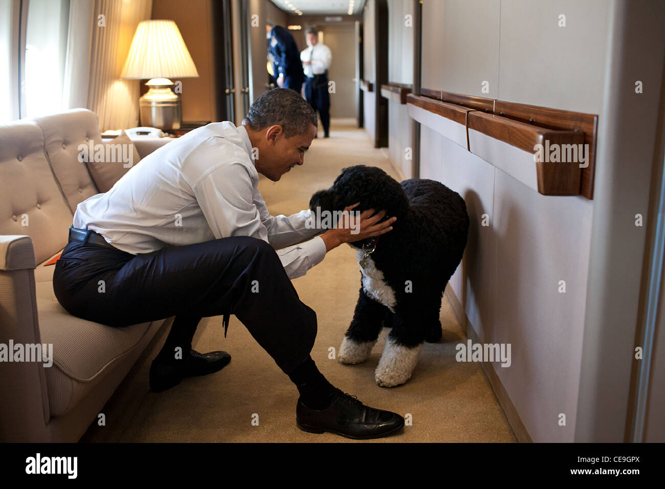 Le président Barack Obama joue avec Bo, le chien de la famille Obama, à bord d'Air Force One lors d'un vol pour New York le 23 décembre 2011 pour rejoindre sa famille pour une vacances de Noël. Banque D'Images