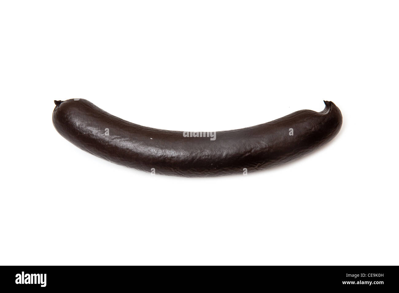 Saucisse boudin noir isolé sur un fond blanc studio. Banque D'Images