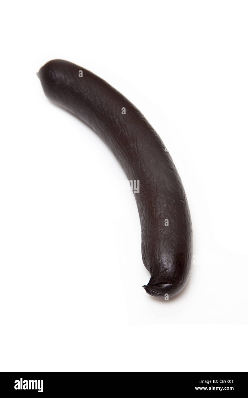 Saucisse boudin noir isolé sur un fond blanc studio. Banque D'Images