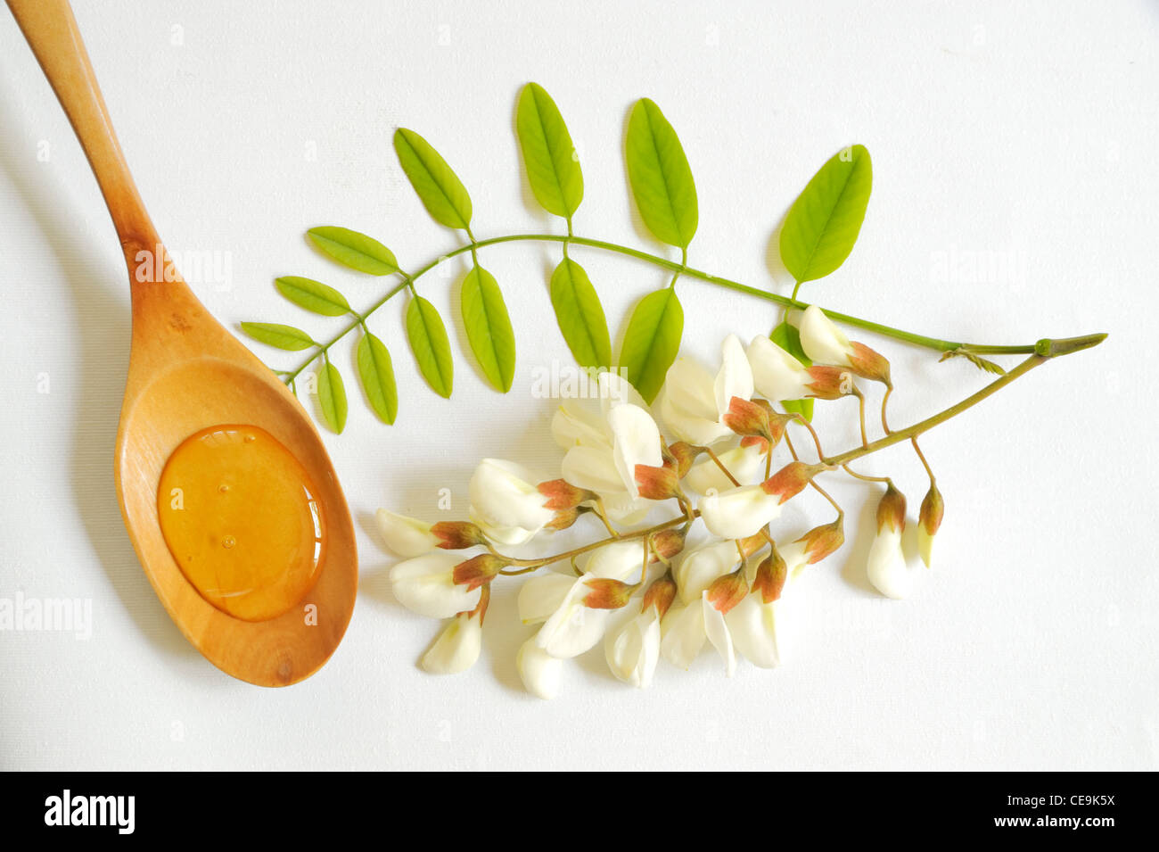 miel d’Acacia Banque D'Images