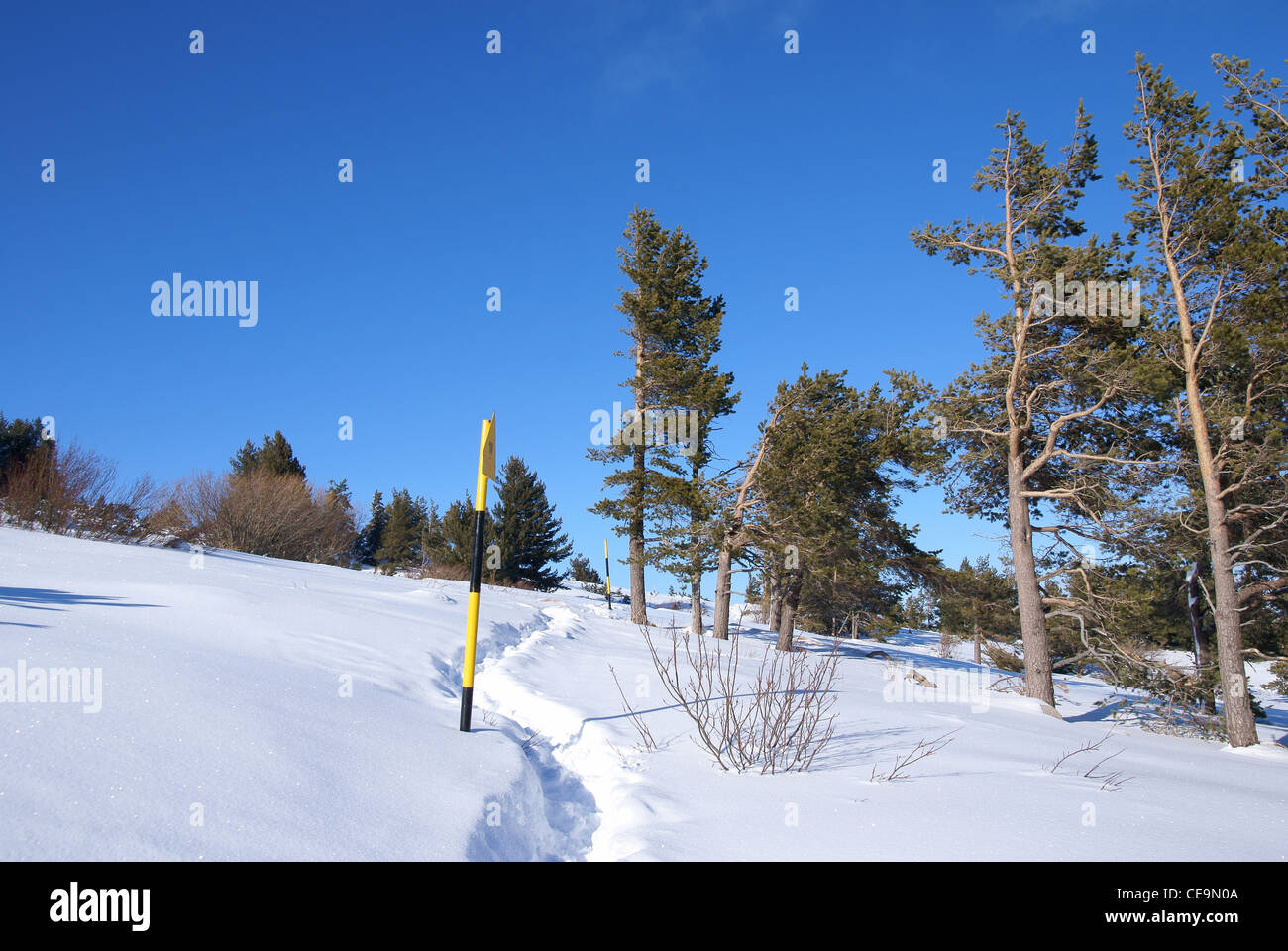 Scène d'hiver Banque D'Images