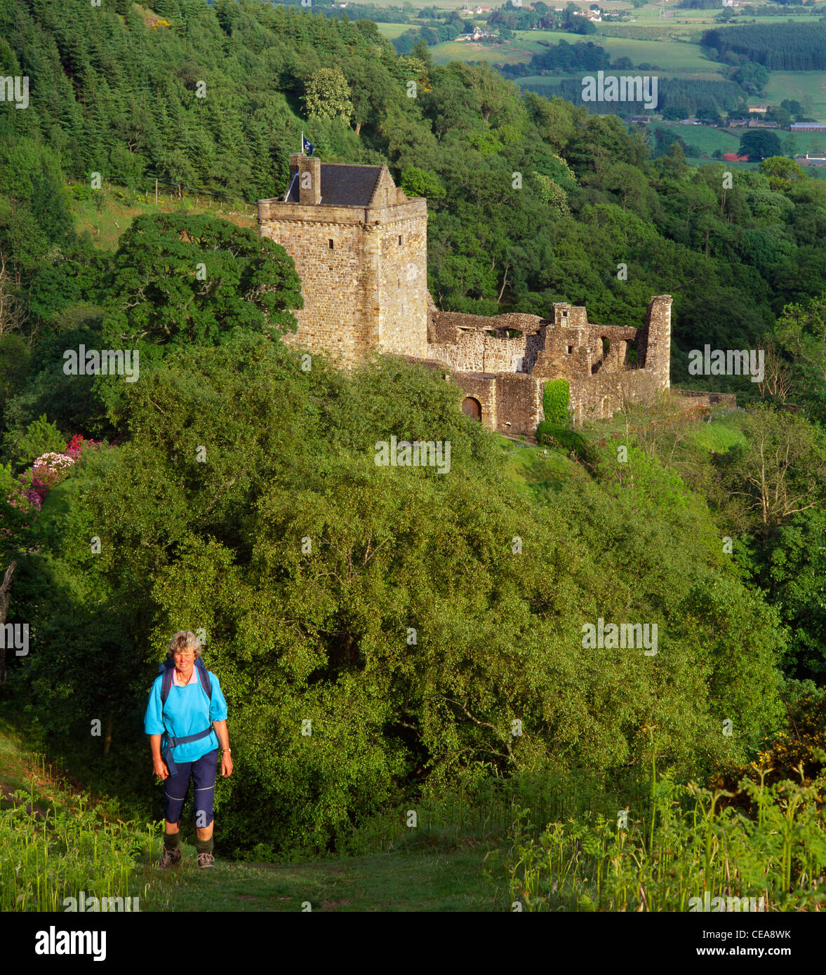 Walker femelle près de Castle Campbell, Dollar, Clackmannanshire, Ecosse, Royaume-Uni. Propriété du National Trust for Scotland. Banque D'Images