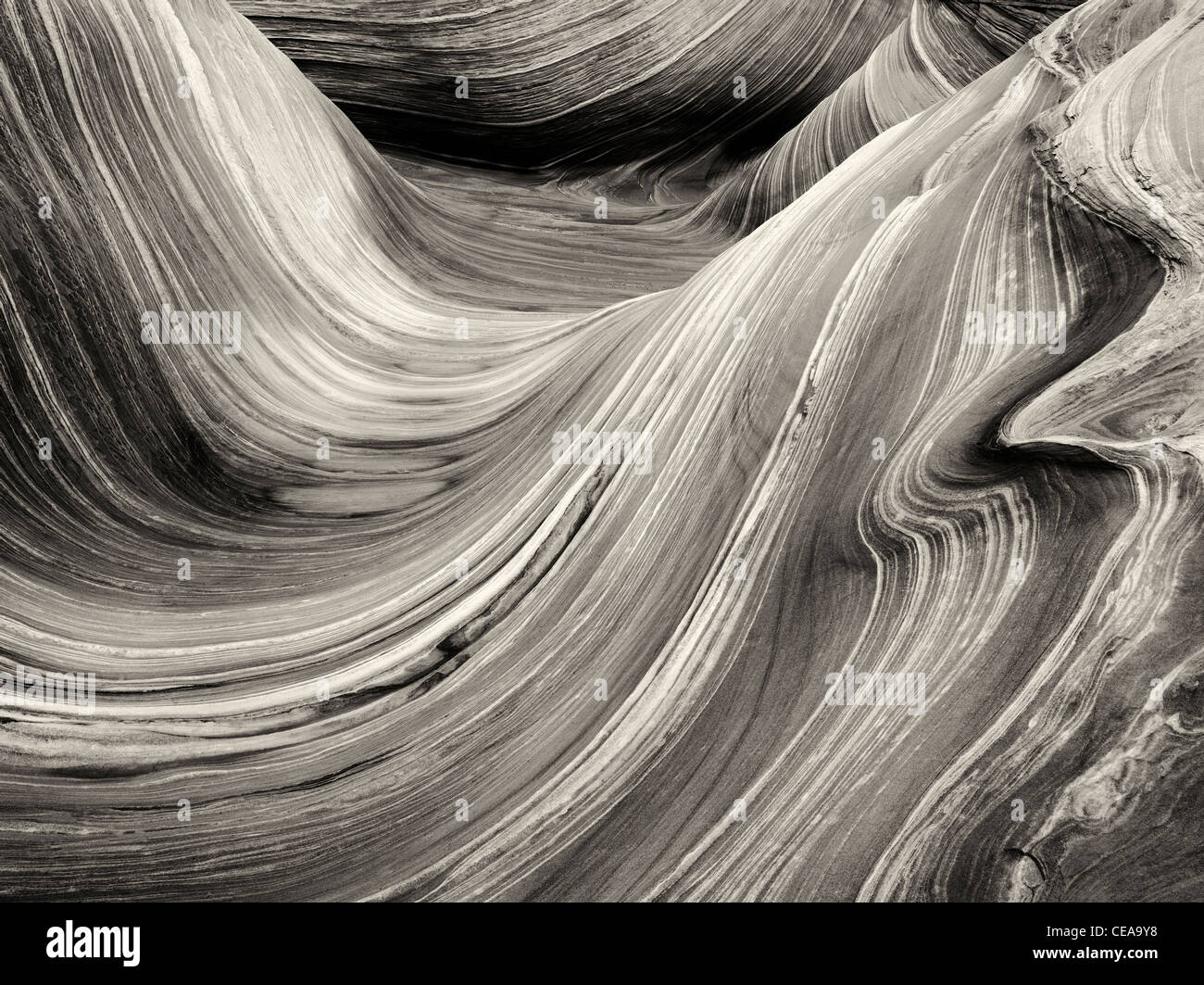 Sandtone Coyote Buttes North dans la formation, l'onde. Paria Canyon Vermillion Cliffs Wilderness. Utah/Arizona Banque D'Images