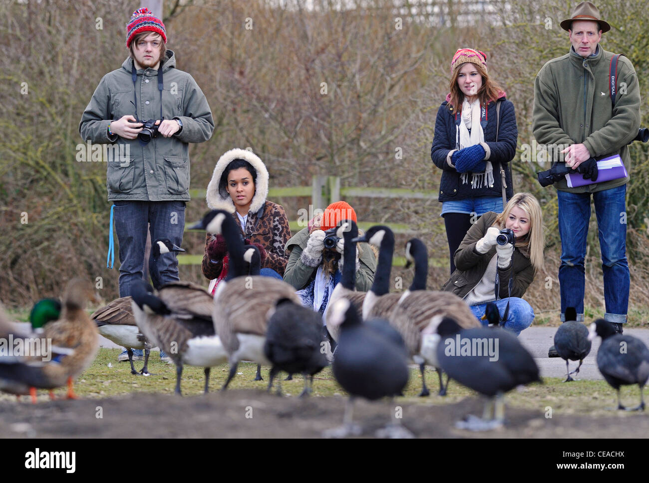 Un groupe d'étudiants de l'art photographique ou de prendre des photos de foulques et les oies à une réserve naturelle locale. Banque D'Images