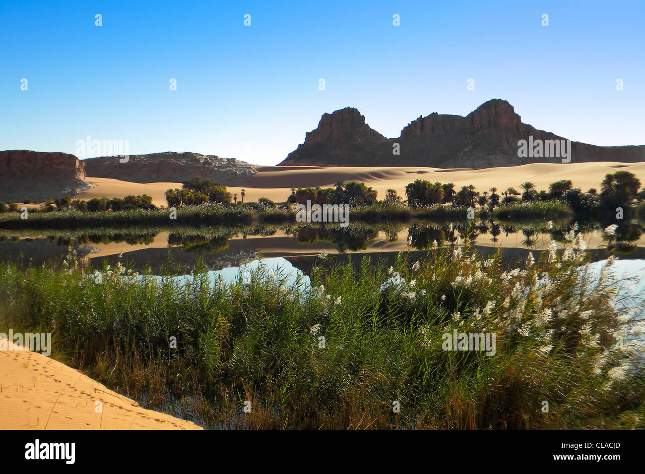 Ounianga lake, région de l'Erdi, au Tchad Banque D'Images