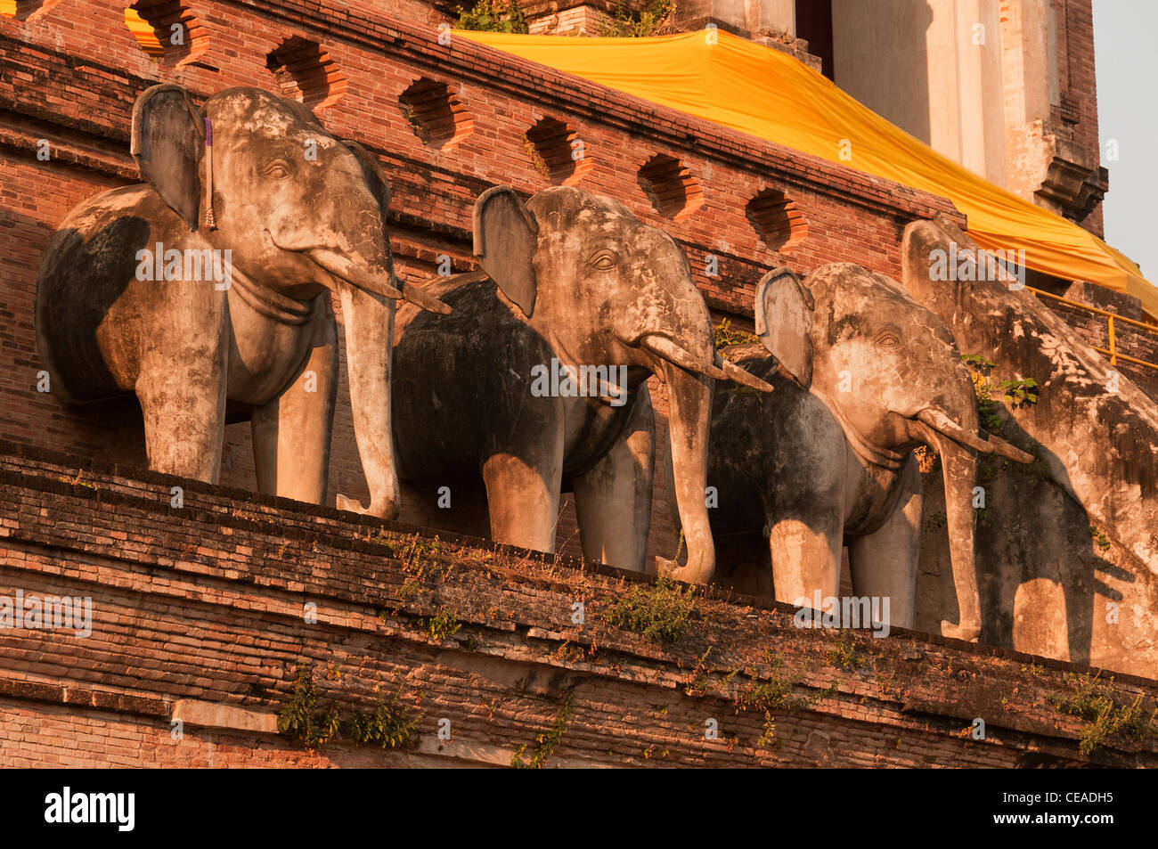 Elk208-1370, Thaïlande Chiang Mai, le Wat Chedi Luang, grand chedi 1441, statues d'éléphants Banque D'Images