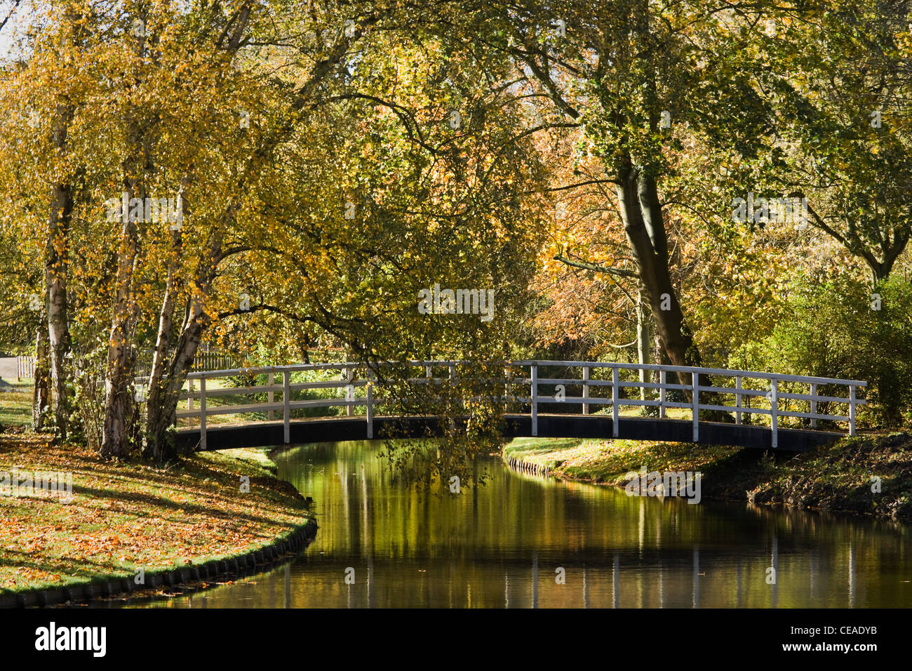 Étang dans le parc en automne avec pont blanc et coloré arbres Banque D'Images