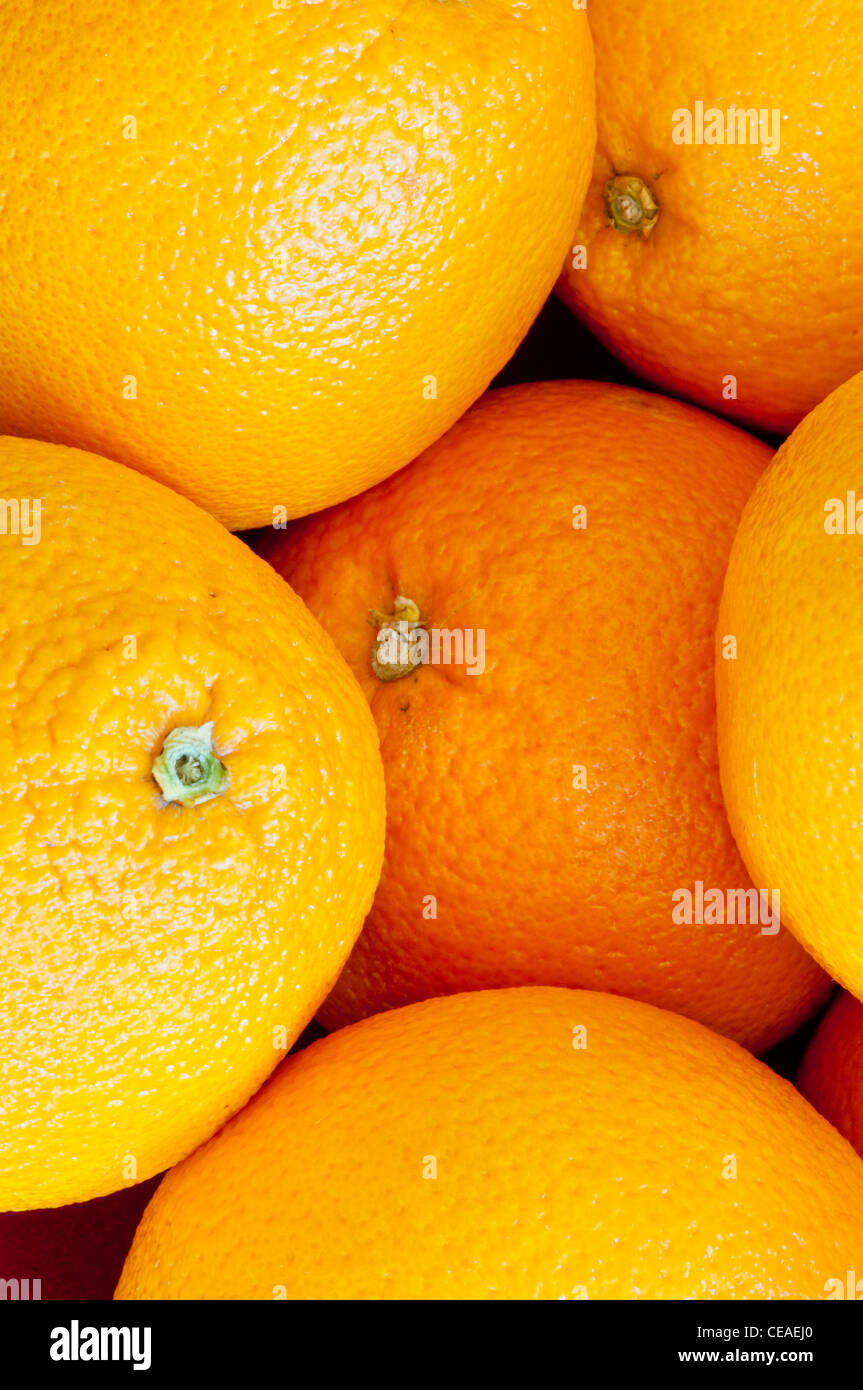 Oranges Navel Banque D'Images