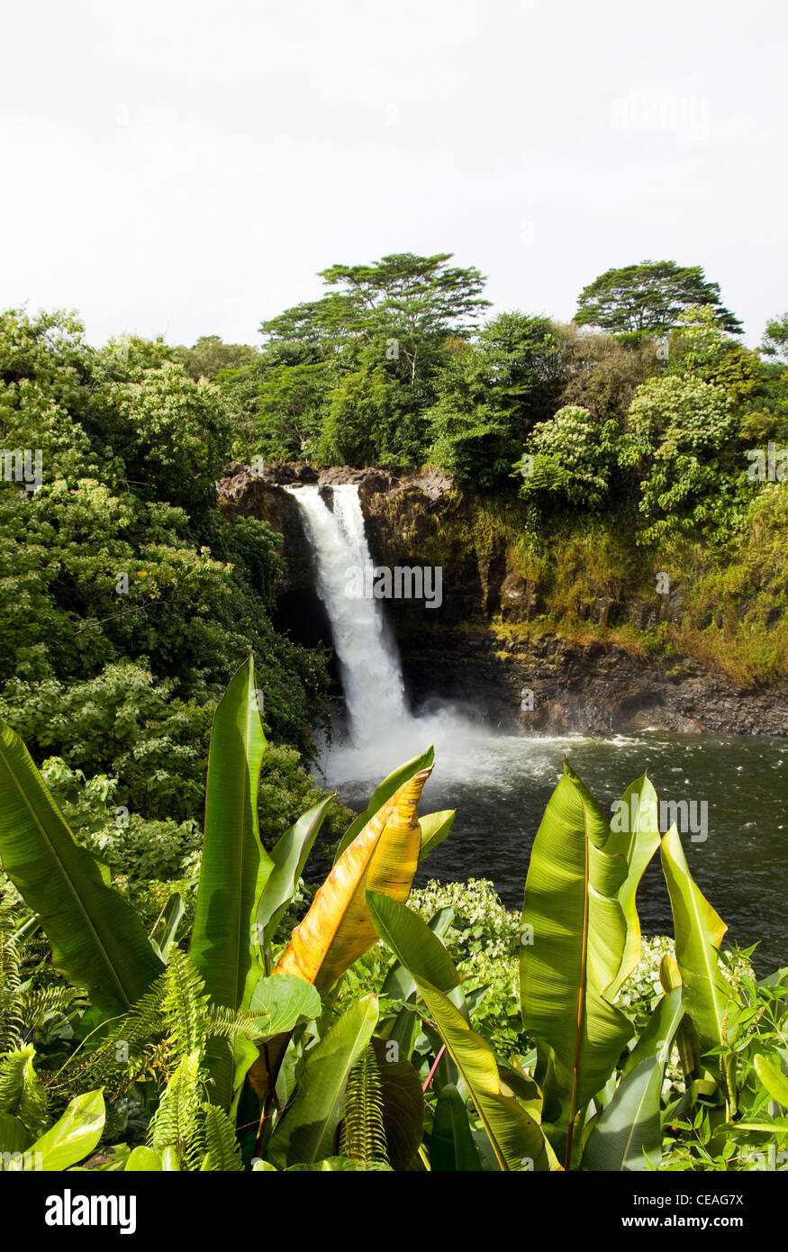 Rainbow Falls, Wailuku River, Rainbow Falls State Park, Hilo, Big Island, Hawaii Banque D'Images