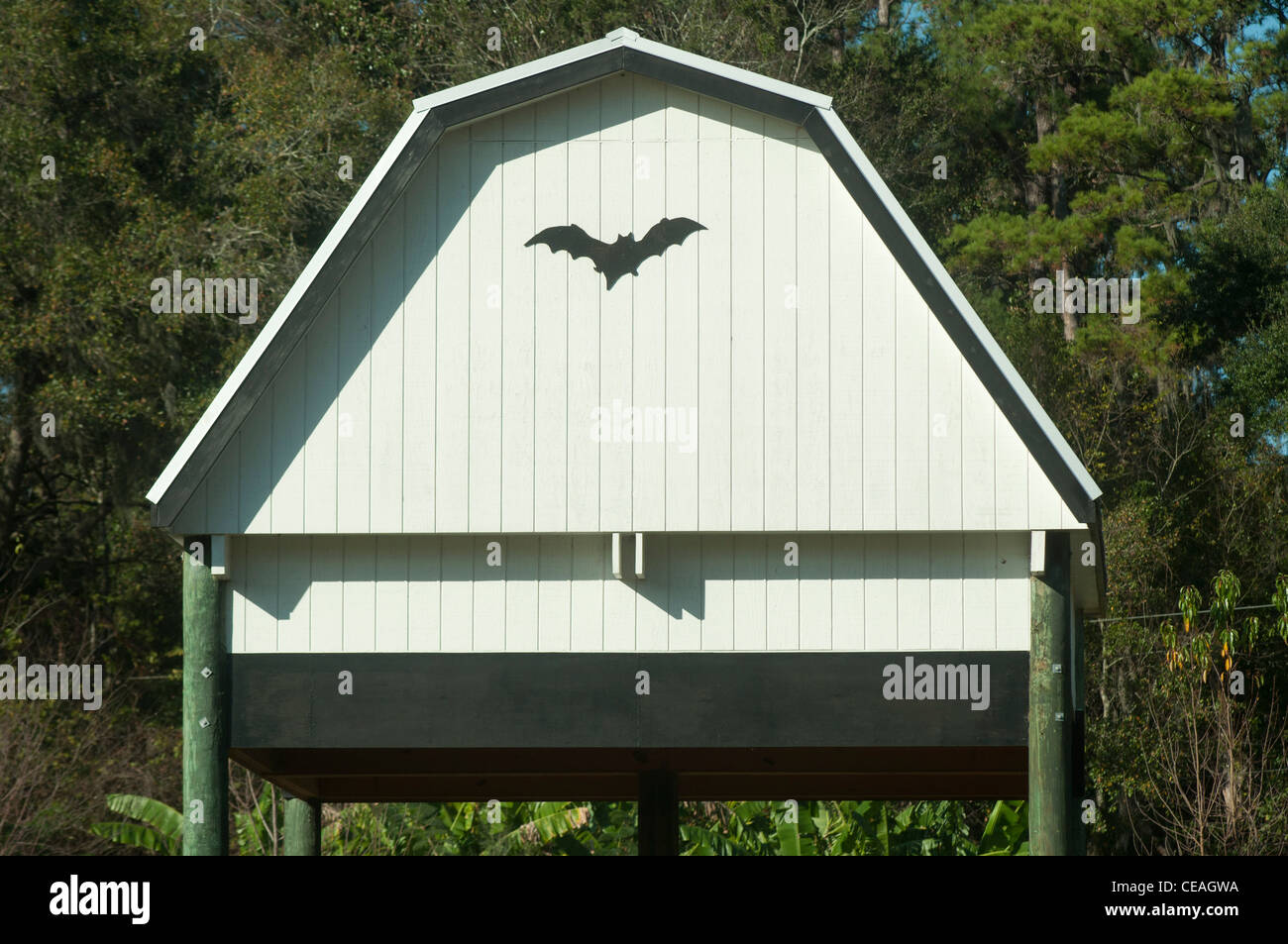 La Bat House, Université de Floride, Gainesville, Florida, United States, USA, Amérique du Nord Banque D'Images