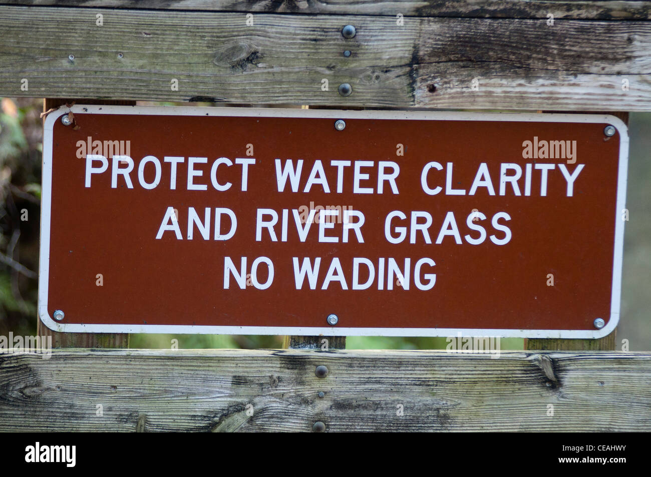 Protéger la clarté de l'eau et la rivière de l'herbe. Aucun gué. signe, Ichetucknee Springs State Park, en Floride, en Amérique du Nord, Etats-Unis Banque D'Images