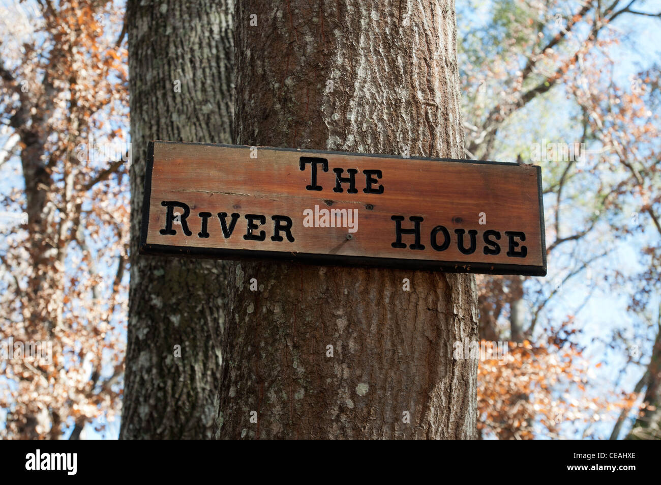 Le River House signe sur un arbre, United States Banque D'Images Le River House signe sur un arbre, United States Banque D'Images