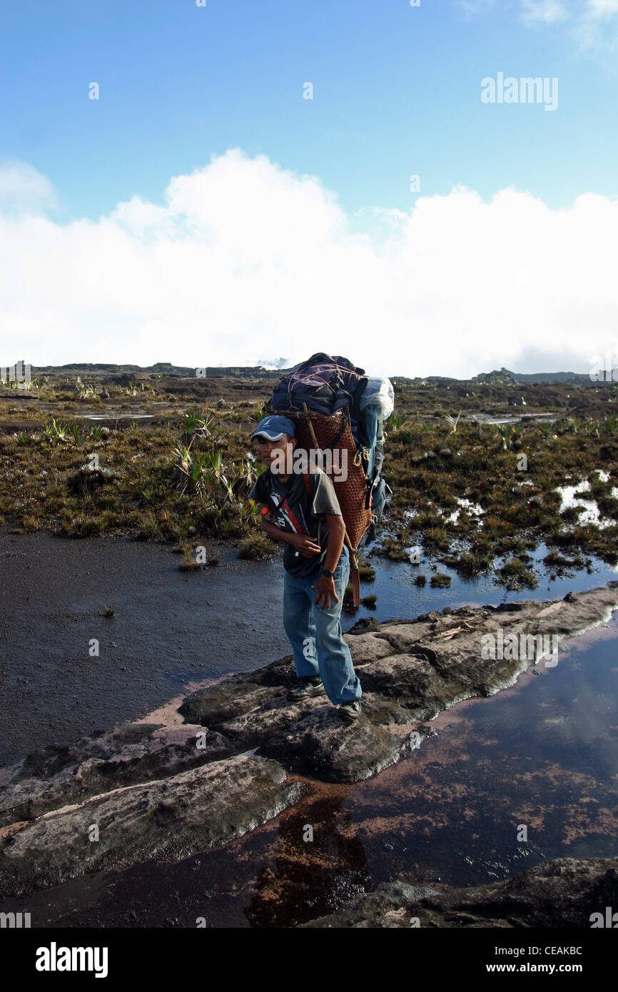 A porter près du sommet (El Carro) du mont Roraima (Tepui) au Venezuela Banque D'Images