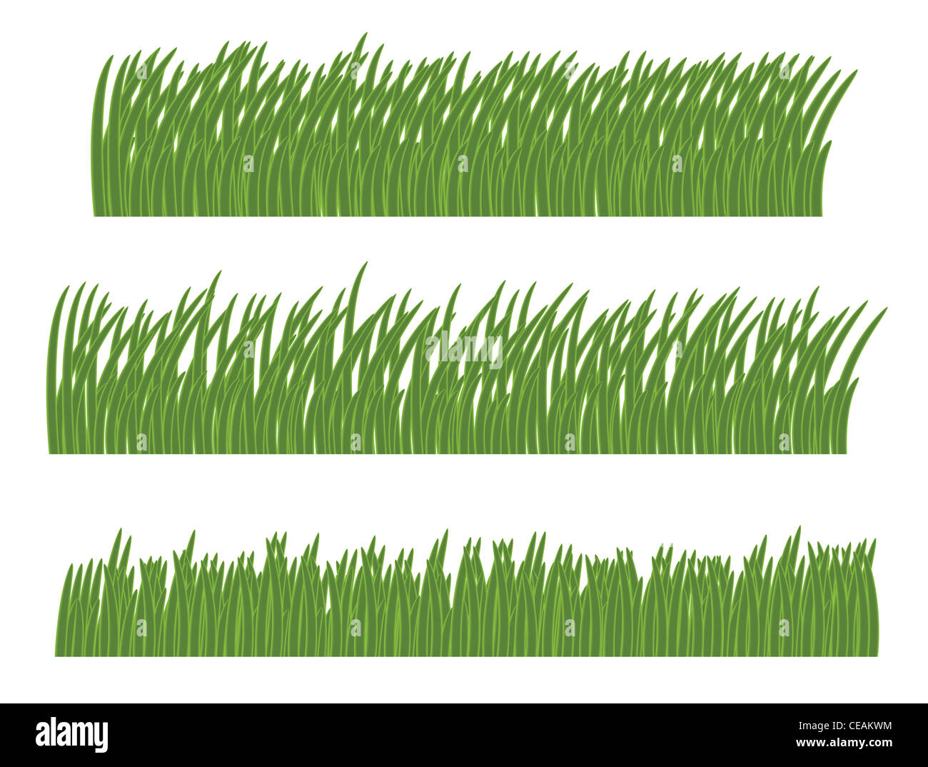 Green grass isolated on white illustration Banque D'Images