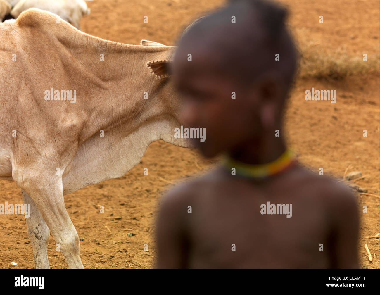 Vache osseuse en passant par un enfant Tsemay Vallée de l'Omo en Ethiopie Banque D'Images