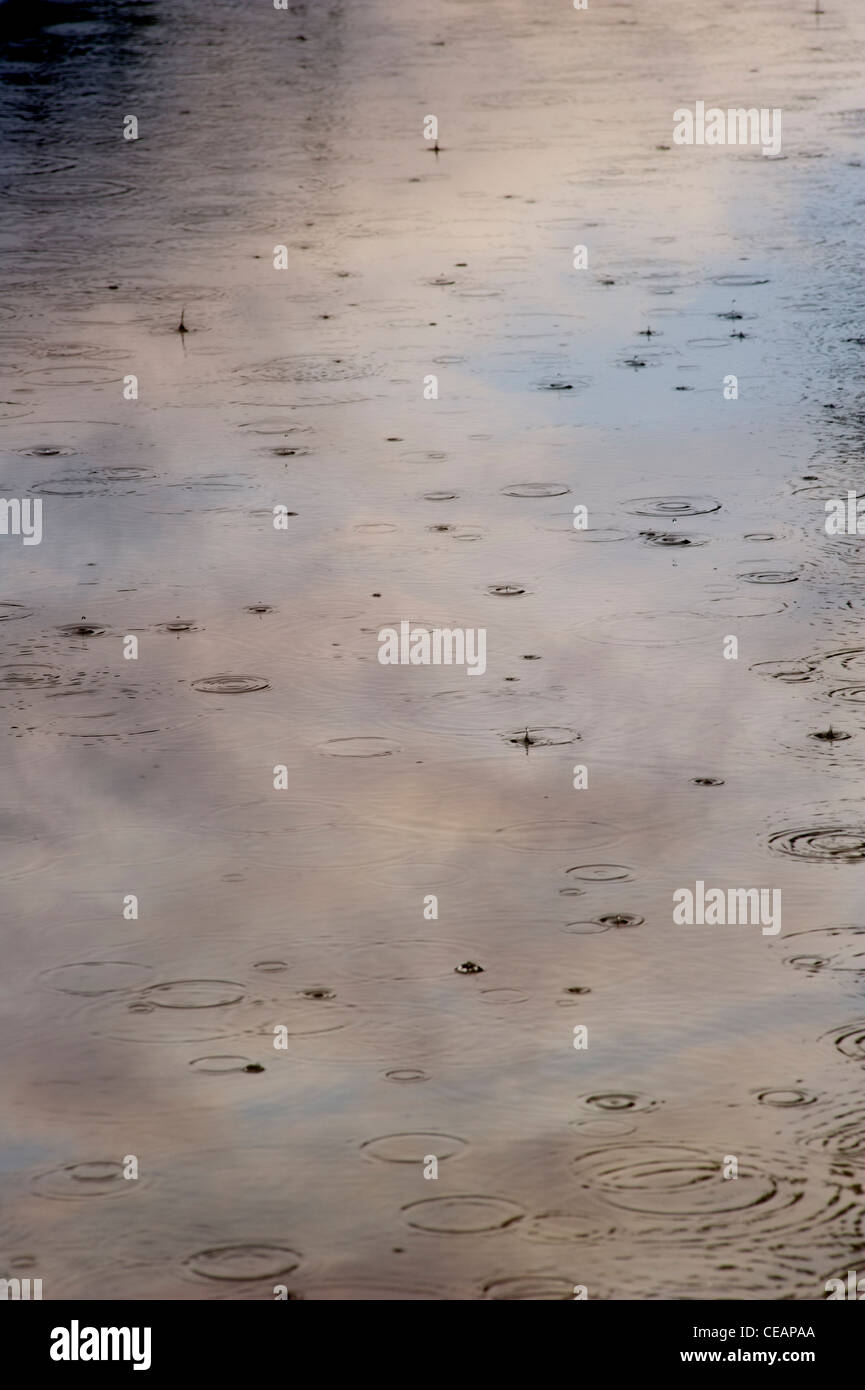 Gouttes de pluie sur l'eau avec la réflexion du ciel Banque D'Images