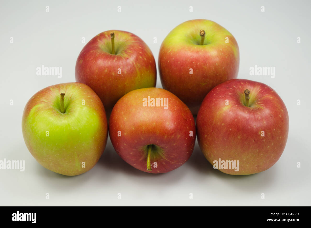 Cinq pommes Braeburn rouge et vert dans un groupe Banque D'Images