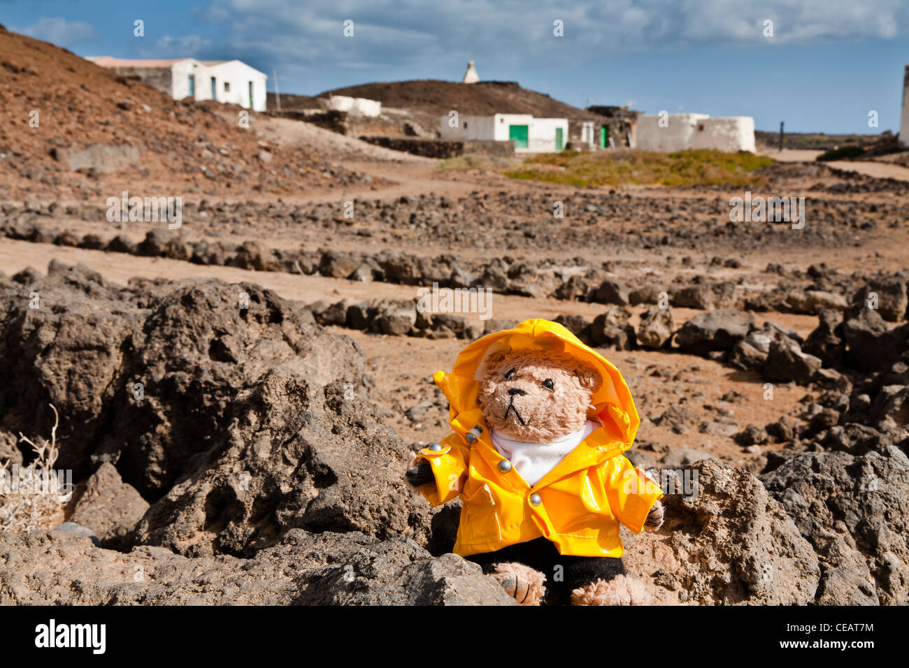 Beni, un ours en peluche, l'extérieur du village d'peurtito sur l'île de Lobos, Fuerteventura Banque D'Images