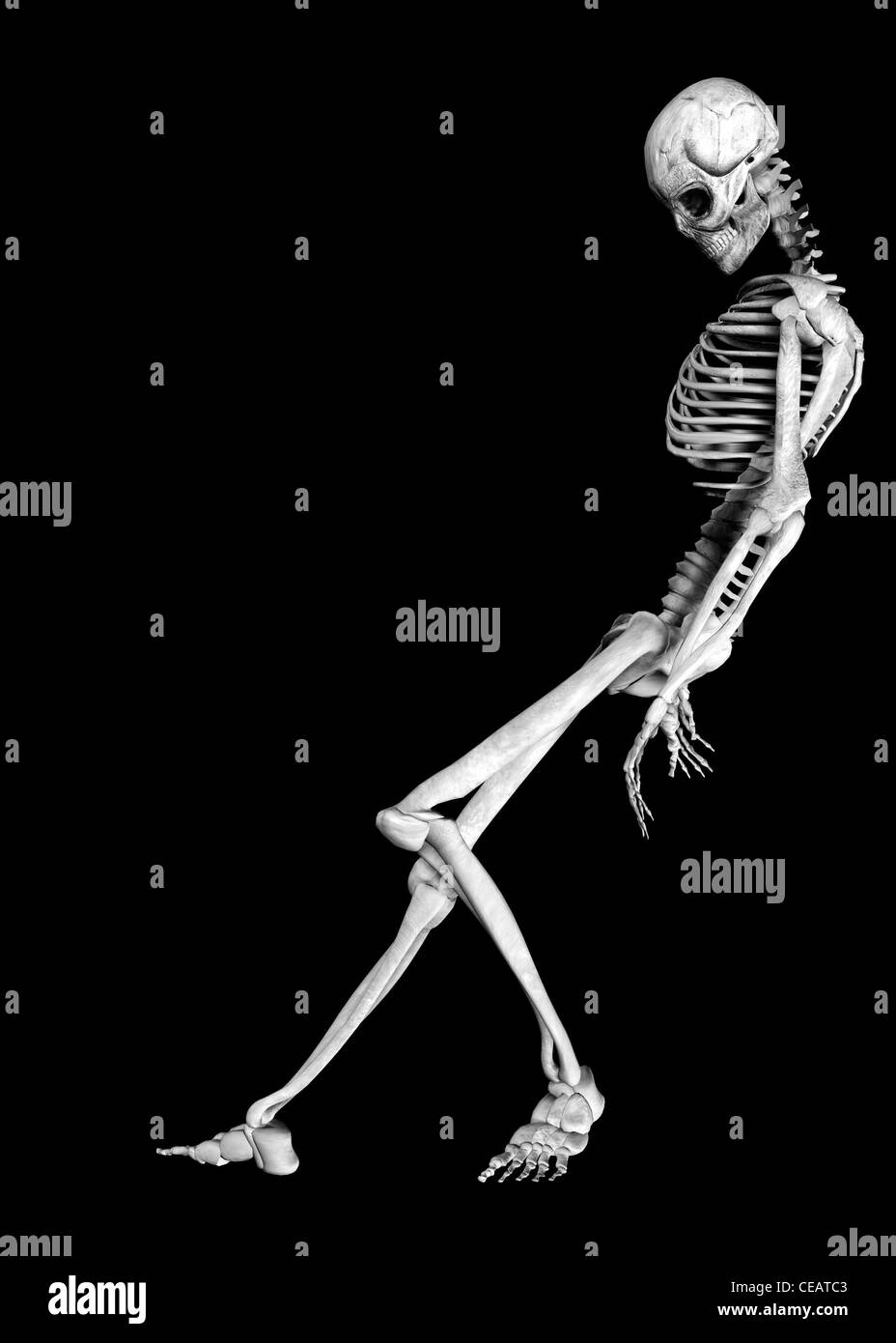 Illustration d'un squelette isolé sur un fond noir Banque D'Images