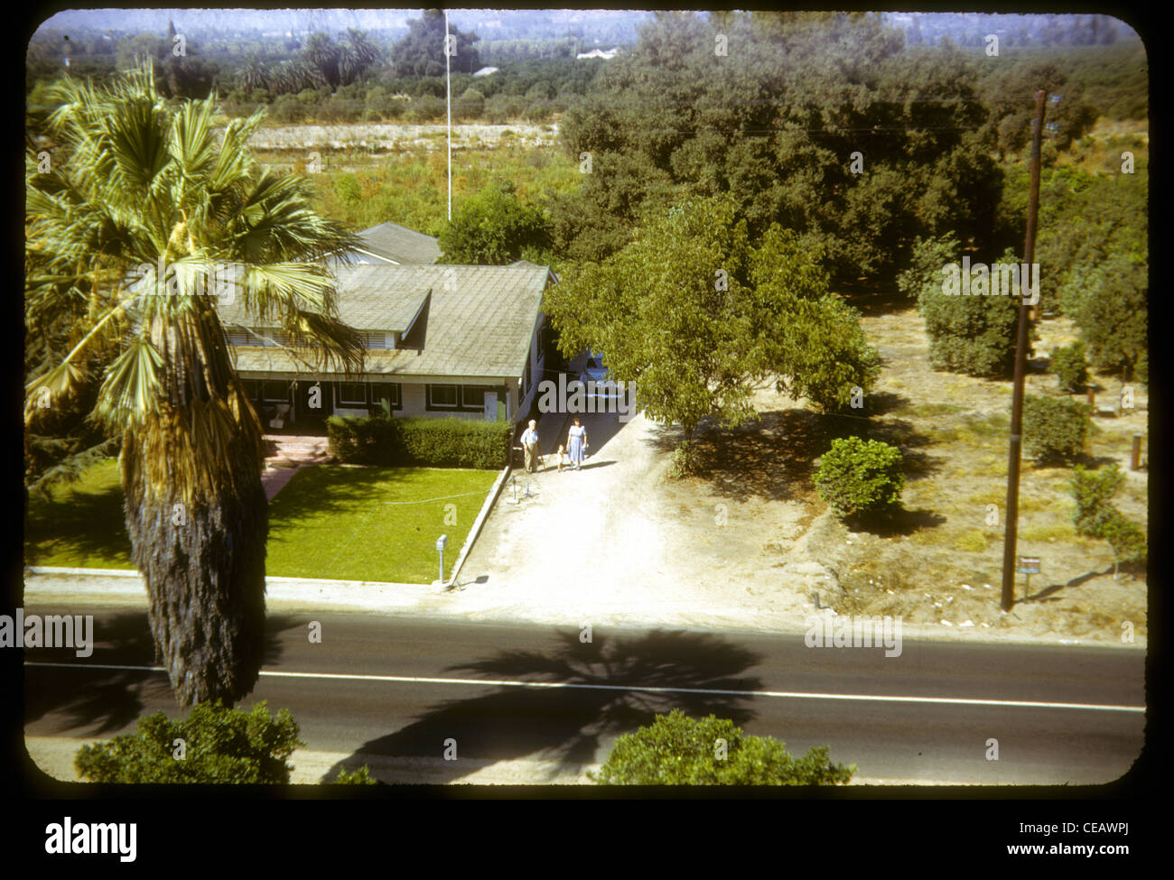 Farm house Covina Californie 1950 los angeles Azuza palmier agriculture rural sous-développé azusa Banque D'Images